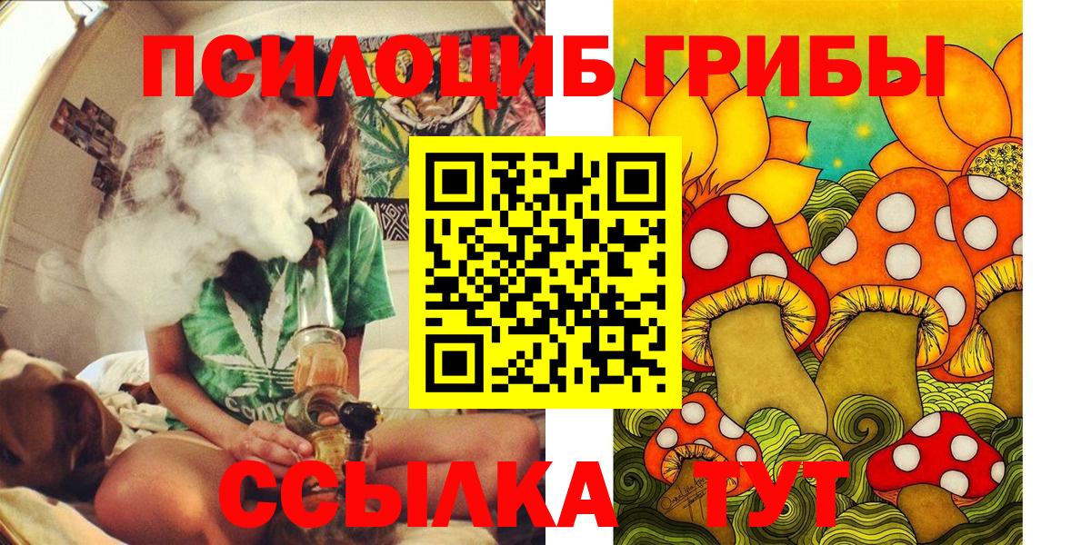 Псилоцибиновые грибы Cubensis Саянск
