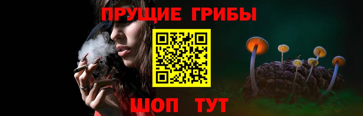 Галлюциногенные грибы Cubensis  где продают наркотики  Вход с VPN  Саянск  Галлюциногенные грибы MAGIC MUSHROOMS 